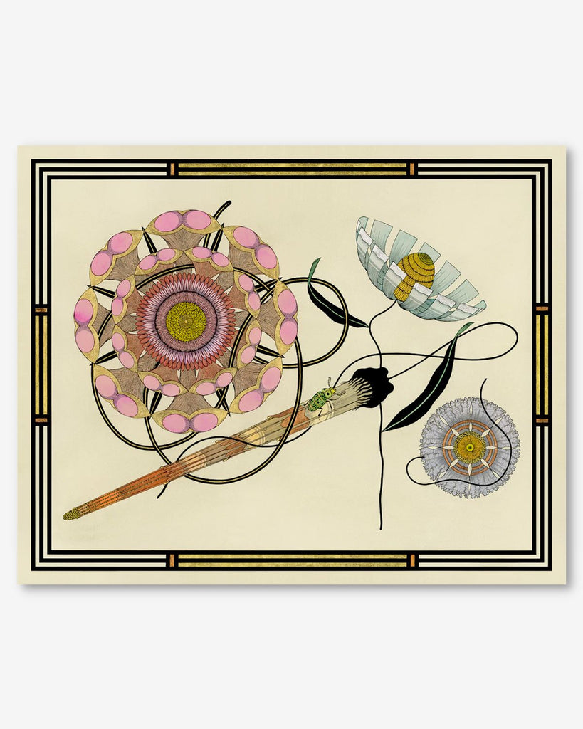 Art print on a white surface. The print is off white with black and gold lined border. Inside the border are 3 other worldly floral shapes. The biggest flower on the left is pink and bulbous. The flowers on the right are blue and angular. A black ribbon like leaf weave in between the flowers.