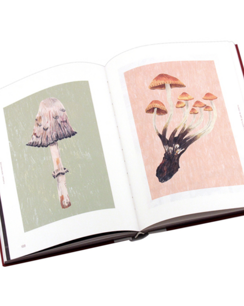 Fungal Inspiration book open revealing two large illustrations of mushrooms. 