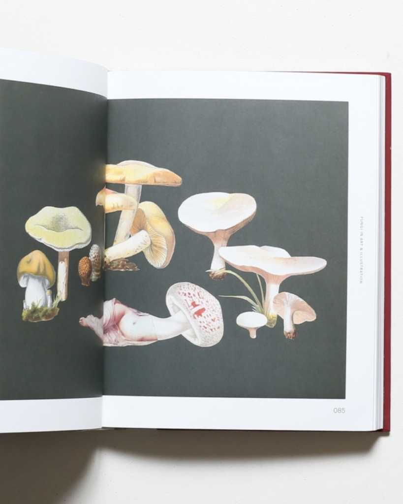 The Fungal Inspiration book open to reveal a spread of mushroom paintings on a black surface. 